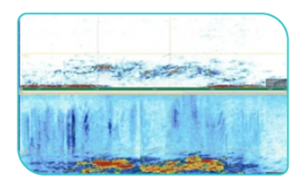 Gráfica de ultrasonido con tecnología TFM para la inspección de tanques para detectar daño por hidrógeno